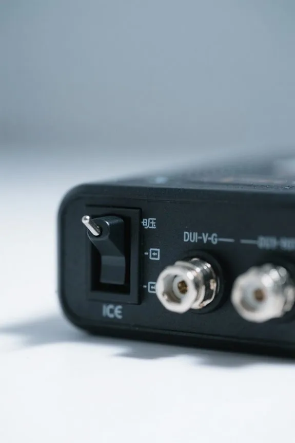 dual voltage charger considerations